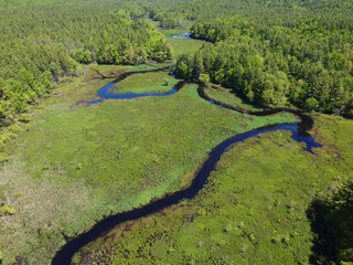 aerial view of winding river in forest