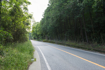 Fototapeta premium 国道370号線