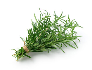 Sprig of rosemary on white background