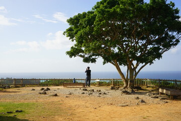 Fototapeta premium Aerial view of Nakijinjo castle ruins and the stone wall in Okinawa, Japan - 日本 沖縄 今帰仁城跡 城壁
