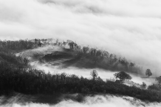 Hills and trees at dawn trough the mist and fog © Massimo