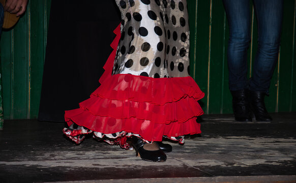 the dancer dances flamenco on the typical tablao