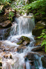 Fototapeta na wymiar stream among the stones in the forest. water flows down the small cascades. wonderful nature background. freshness concept