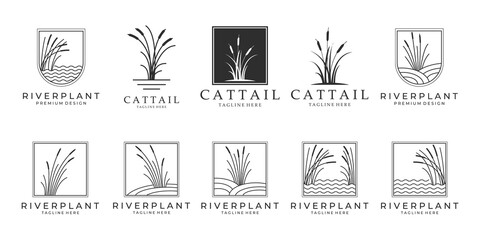 set Cattails logo bundle vector illustration design, cattail icon