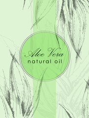 spa concept of aloe vera. hand drawn vector illustration
