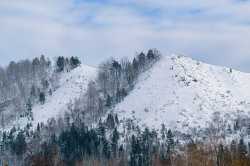 Hills in the mountains are covered with snow. Green conifers, birches. Background - the sky with clouds.