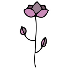 Doodle pink flower and small boutons. Black outline. White background. Vector image hand-drawn. Floral design for greeting cards, accessories. Baby style, cartoon style elements.