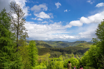 Fototapeta na wymiar Aussicht vom Gipfel des Eiderberg auf den südlichen Pfälzerwald