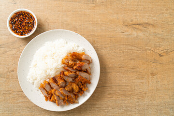 Fototapeta na wymiar fried pork topped rice with dipping sauce