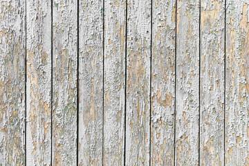 A horizontal texture of old white boards painted with white color with knots and resin