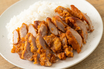 fried pork topped rice with dipping sauce