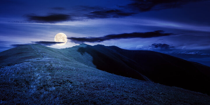 mountain landscape in summer at night. grassy meadows on the hills rolling in to the distant peak in full moon light