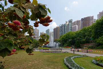Zabudowa mieszkalna Hong Kongu © Miroslaw