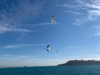 Fototapeta na wymiar View over Bosphorus strait