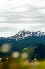 Fototapeta na wymiar landscape mountain in the snow Hoverla Carpathians