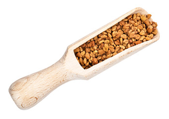 Fenugreek seeds in wood scoop cutout on white