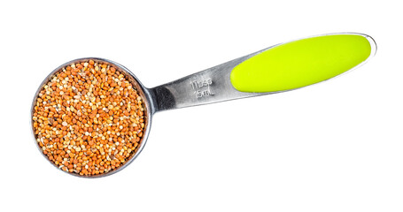 siberian millet seeds in measuring spoon cutout