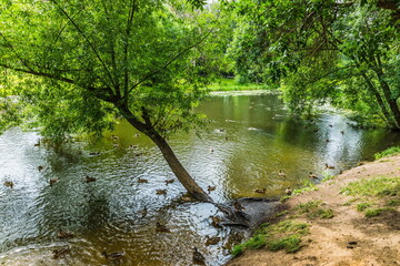 City park in the center of Pereslavl-Zalessky, Russia