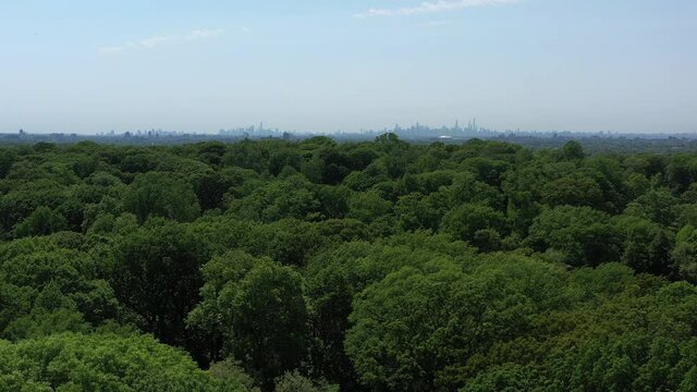 An aerial view above green tree tops in a park on a sunny day. The drone camera, focused on the New York City skyline in the distance on the horizon, boom down into the trees below.
