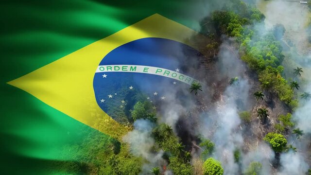 Aerial view overlooking the Amazon on fire, split with a Brazil Flag - 3D animation