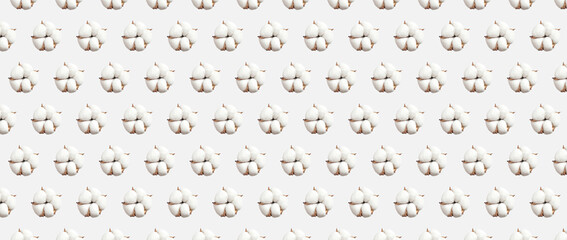Pattern from white cotton flowers isolated on light gray background flat lay. Delicate beauty cotton background. Natural organic fiber, agriculture, cotton seeds, raw materials for fabric