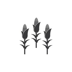corn icon.
