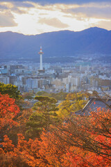 Naklejka premium view of the kyoto tower