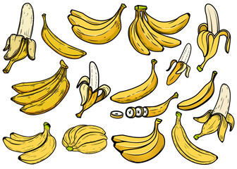 Big set of illustrations of banana. Design element for poster, card, logo, label, sign. Vector illustration