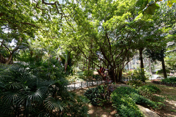Park in central Hong Kong