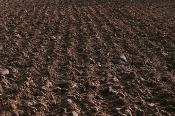 agricultural excavated soil with strips extending into perspective. texture of brown soil in the...
