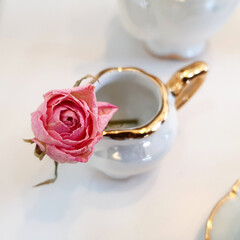 Dry Flower-Mini Rose