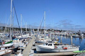 Fototapeta na wymiar Marina am Fishermans Wharf am Pazifik, Monterey, Kalifornien