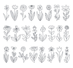 Set of vector flowers in boho style on a white background. Linear illustration. Silhouettes of flowers in the style of minimalism.
Abstract Flowers Art design for print, cover, wallpaper, wall art.