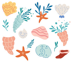 Set of seashells. Underwater world. Hand drawn various seashells. Summer concept. Marine life. Mollusks, seaweed, Colorful seashells, starfish. Flat cartoon vector illustration.