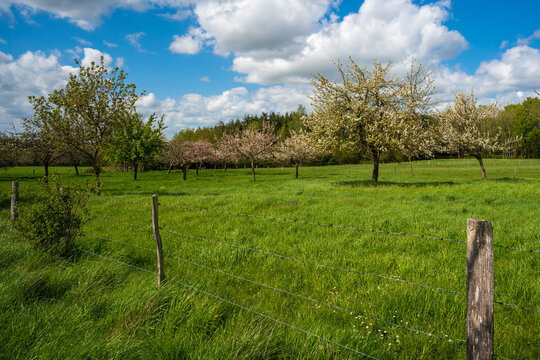 Paysage campagne 892