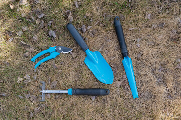 Top view of a pruner rake and a gardener's shovel with blue handles on the grass. A set of tools...