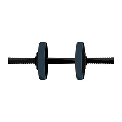 Dumbbells isolated on a white background. Dumbbell vector icon.