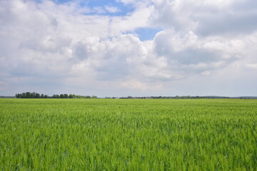 Natur, Feld und Himmelszelt