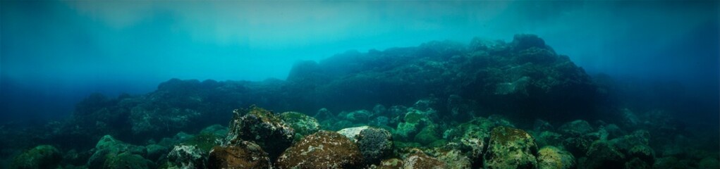 Fototapeta na wymiar panorama scene in the ocean