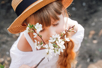 Girl farmer in a hat in the garden is engaged in gardening, spring flowering of apricots. A garden...
