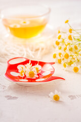 Obraz na płótnie Canvas Chamomile herbal tea (Matricaria chamomilla) on kitchen table