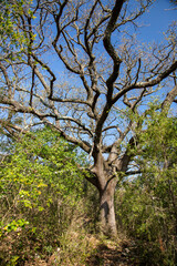 Balade au Ravin des Arcs