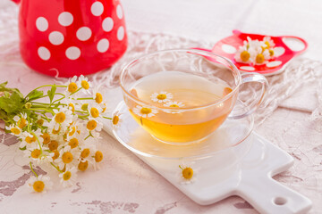 Chamomile herbal tea (Matricaria chamomilla) on kitchen table