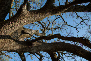 Balade au Ravin des Arcs