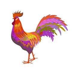 Beautiful rooster with bright plumage, isolated object on a white background. Card design. Vector print.