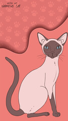 vector illustration with Siamese cat  in cartoon style on abstract orange background with shadow