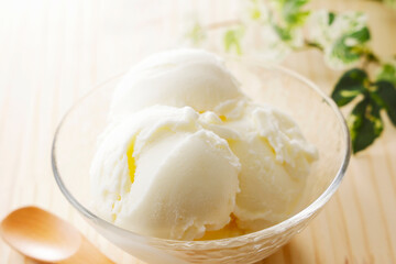 ミルクアイスクリーム　Milk ice cream