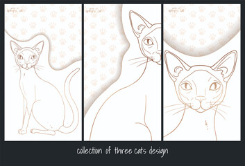 collection of three design with siamese cat in white and gold