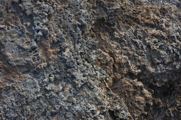 Fototapeta premium Coquina. textured background. Closeup 