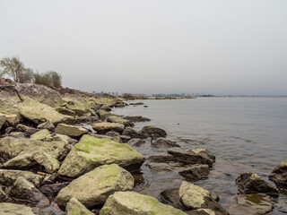 Fototapeta na wymiar The coast of the Gulf of Finland. Huge rocks on the shore. Rocks covered with algae, moss. Clean water. Cloudy weather. Beautiful natural landscape. City in the background